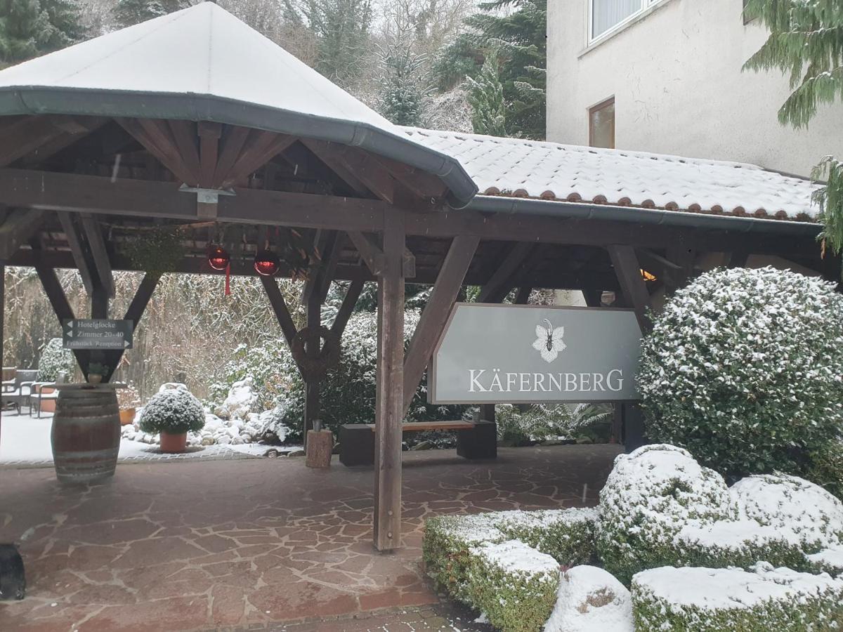 Kaefernberg - Weinhotel Alzenau in Unterfranken Exterior foto