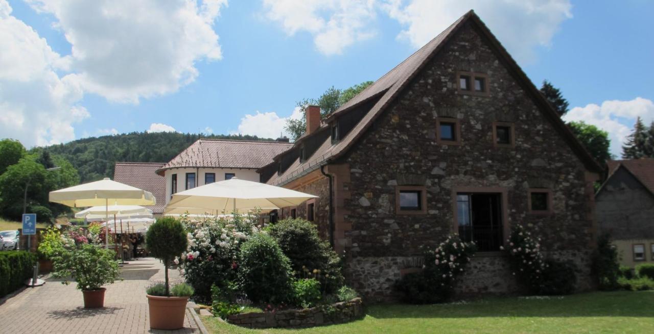 Kaefernberg - Weinhotel Alzenau in Unterfranken Exterior foto
