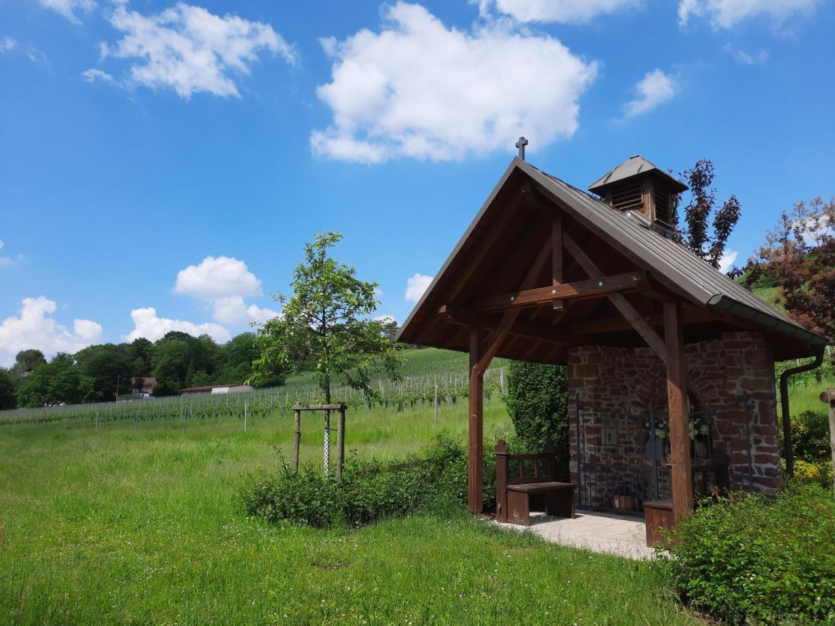 Kaefernberg - Weinhotel Alzenau in Unterfranken Exterior foto