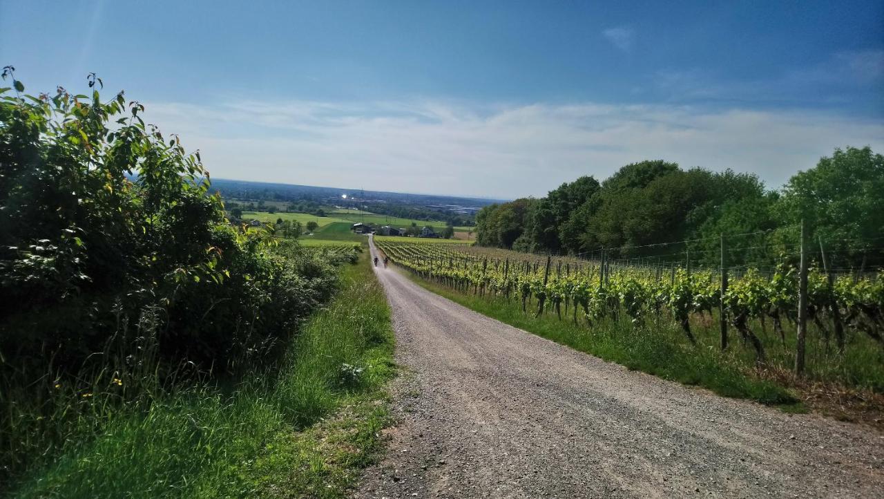 Kaefernberg - Weinhotel Alzenau in Unterfranken Exterior foto